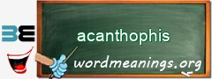 WordMeaning blackboard for acanthophis